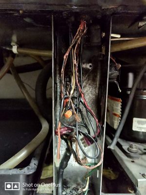 Refrigerator TRUE repair in San Jose, CA - burned wires