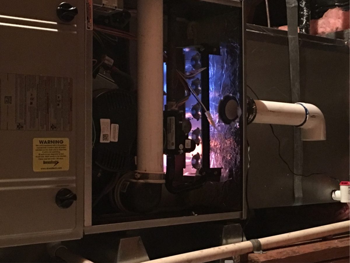 Nitrogen Test in Los Gatos, CA